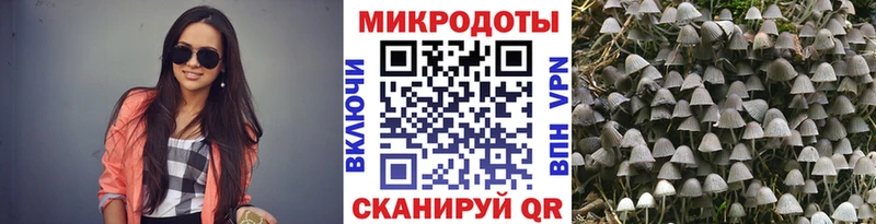 Галлюциногенные грибы Psilocybine cubensis  Остров 
